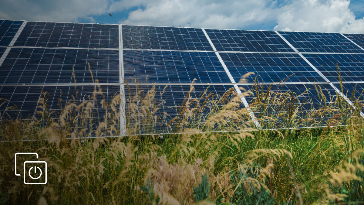 consorzi cobat: immagine -  news numero 1