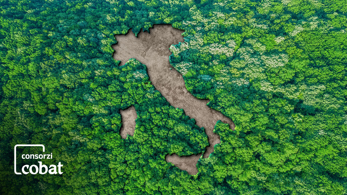 consorzi cobat: immagine -  news numero 1